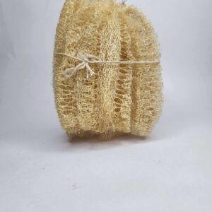 Loofah Sponge